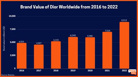 dior brand strategy|christian Dior market targeting.